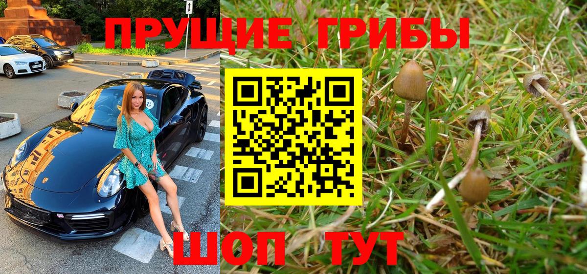 Хасавюрт  Псилоцибиновые грибы Magic Shrooms  Вход с VPN 