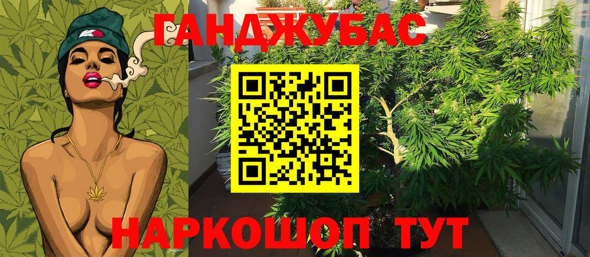 Хасавюрт  Бошки Шишки Ganja  Каннабис Bruce Banner  Вход с VPN  Каннабис тримм  Шишки марихуана THC 21% 